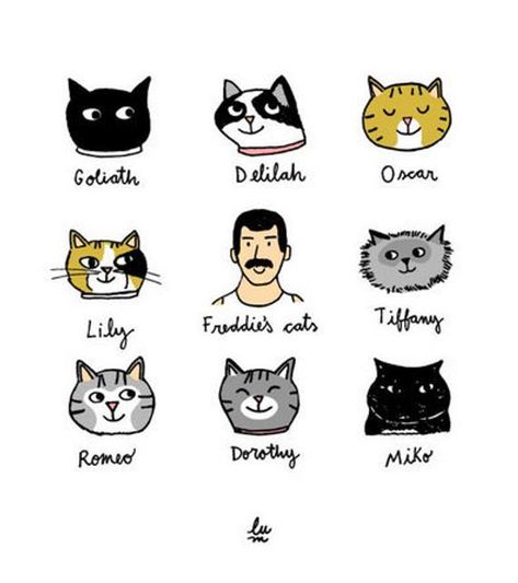 Cats Wall Print Art Freddie Mercury Poster Cat Lovers Poster Funny Cats Art Queen Illustration Freddie Mercury Poster, Mercury Poster, Queen Illustration, Queen Meme, Poster Cat, Poster Funny, Freddy Mercury, Rami Malek, Queen Photos