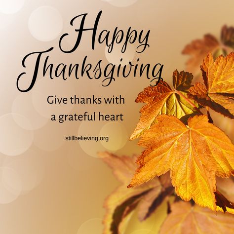 Happy Thanksgiving Images Quotes, Thanksgiving Wishes To Friends, Thanksgiving Quotes Inspirational, Happy Thankgiving, Happy Thanksgiving Friends, Happy Thanksgiving Pictures, Halloween Pumpkin Diy, Happy Friendsgiving, Thanksgiving Clip Art