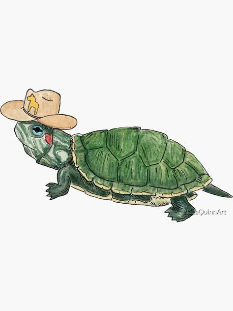 "Cowboy Turtle" Sticker for Sale by NateQuinnArt | Redbubble Cool Turtle Drawings, Aesthetic Turtle Drawing, Turtle Aesthetic Drawing, Turtles Illustration, Cute Turtle Painting, Tortoise Design, Cowboy Animals, Turtle Print, Turtles Drawing