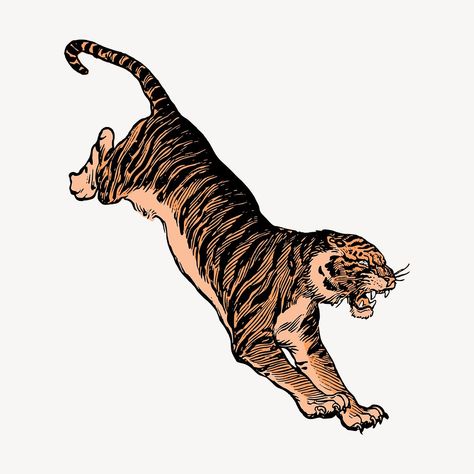 Jumping tiger clipart, wildlife illustration vector. Free public domain CC0 image. | free image by rawpixel.com Jumping Tiger, Tiger Clipart, Vector Animals, Tiger Vector, Wildlife Illustration, Tiger Drawing, Vintage Tiger, Tiger Illustration, Tiger Tiger