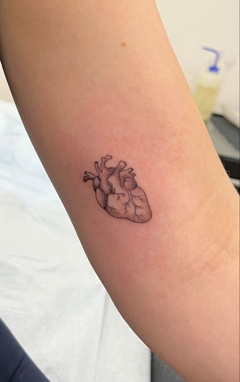 Black And White Anatomical Heart Tattoo, Cardiologist Tattoo, Cardiac Heart Tattoos, Rock Heart Tattoo, Atomically Correct Heart Tattoo, Heart To Heart Tattoo, Biological Heart Tattoo, Healthcare Worker Tattoo, Cardiology Tattoo