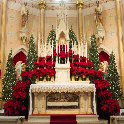 X Mass Decorations, Churches Decorated For Christmas, Christmas Altar Decorations, Catholic Church Christmas Decorations, Christmas Church Decorations Sanctuary, Catholic Church Easter Decorations, Christmas Decor Church, Christmas Church Decorations, Fall Church Decorations