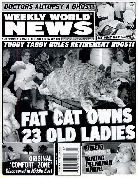 Weekly World News Weekly World News, Church Of The Subgenius, Funny Headlines, Bizarre Books, Wilde Westen, Funny News, News Paper, Fat Cat, Fat Cats