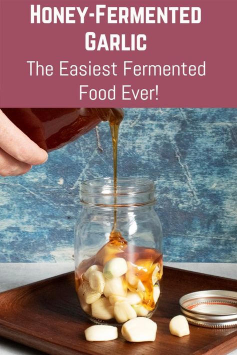 Honey-fermented garlic is the easiest fermented food you can make. It's packed with flavor and healthy gut-bacteria. Get a jar going in under 10 minutes. Honey Fermented Garlic, Garlic And Honey Benefits, Fermented Honey Garlic, Homesteading Inspiration, Fermenting Foods, Fermented Garlic, Homemade Lotions, Fermented Honey, Homestead Blog