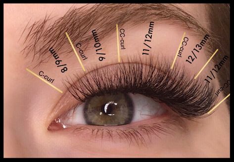 Eye styling with squirrel mapping ~Russian Volume ~Ireland lash co. Squirrel Lashes, Lash Maps, Lash Map, Lash Tricks, Eyelash Business, Lash Mapping, Professional Eyelash Extensions, Applying False Eyelashes, Eyelash Extensions Styles