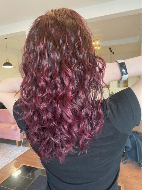 Dark Cherry Hair Curly, Red Highlights On Light Brown Hair, Black Cherry Hair Color Curly Hair, Curly Red Highlights, Deep Red Curly Hair, Hel Aesthetic, Red Highlights Curly Hair, Crimson Hair Color, Cherry Red Hair Curly