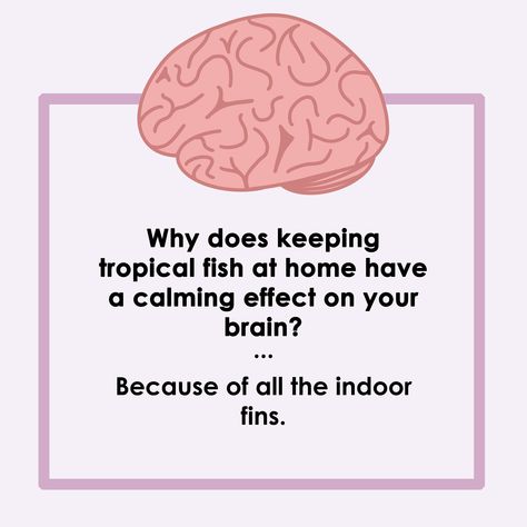 Neuroscience Jokes, Psychology Puns, Nerdy Facts, Biology Jokes, Science Puns, Psychology Studies, Psychology Jokes, Science Jokes, Joke Of The Day