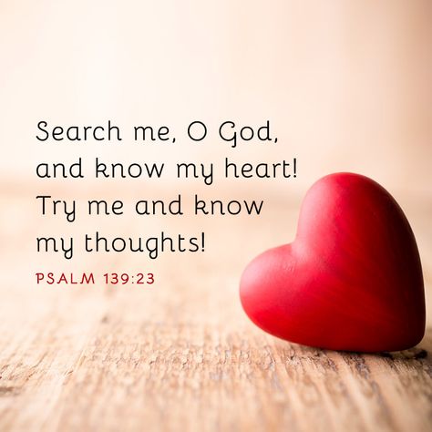 Search me, O God, and know my heart! Try me and know my thoughts! – Psalm 139:23 Birthday Wishes For A Friend Messages, Sermon Quotes, Peace Scripture, Small Business Quotes, Trust In Jesus, Love Joy Peace, Try Me, Awesome God, Bible Love