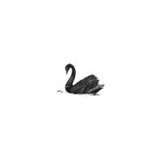 Black Swan Icon, Lake Core, Black Swan Tattoo, White Widgets, Swan Tattoo, Arab Men Fashion, Clothes Embroidery, Swan Queen, Branded Phone Cases