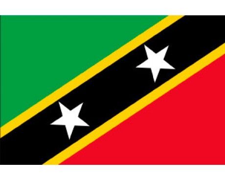 Caribbean Countries Flags, St. Kitts, Saint Kitts And Nevis Travel, St Kitts And Nevis Flag, Congo Flag, Coding In Python, Virgin Islands Flag, Africa Flag, Coding Tutorials