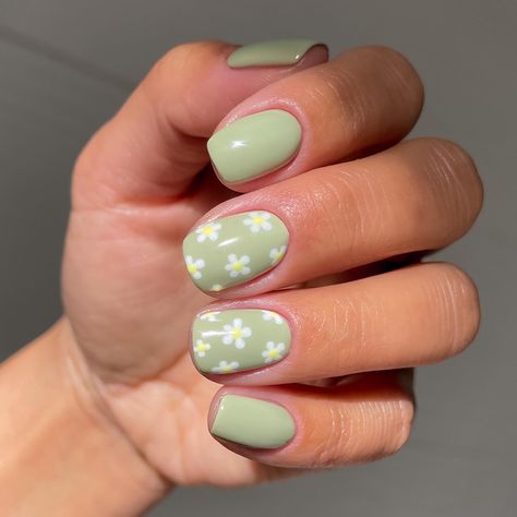 Short Gel Nails, Cute Simple Nails, Green Nail Designs, Daisy Nails, Simple Gel Nails, Green Nail, Cute Gel Nails, Shellac Nails, Dipped Nails