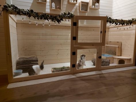 Bedroom Rabbit Setup, Large Bunny Enclosure Indoor, Outdoor Bunny Enclosure, Rabbit Room Ideas Indoor, Bunny Enclosure Indoor, Indoor Bunny Habitat, Bunny Set Up Indoor Cute, Diy Bunny Cage Indoor, Indoor Rabbit Setup