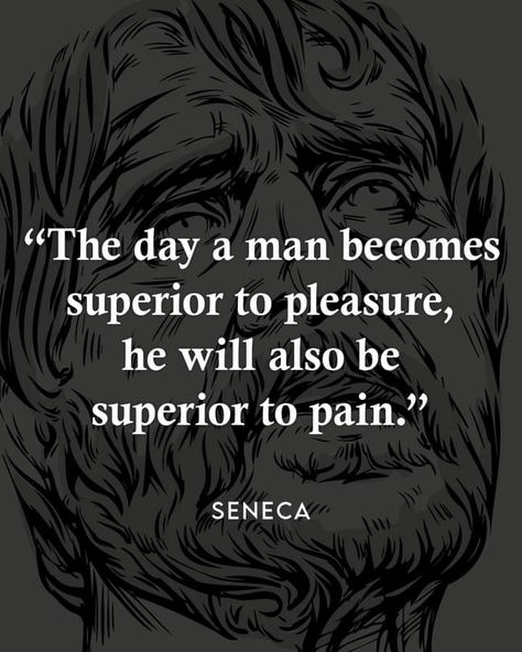 Psychologist Motivation, Quotes Stoicism, Seneca Quotes, Daily Stoic, Words Beautiful, Stoicism Quotes, Saint Quotes Catholic, Stoic Quotes, Philosophical Quotes