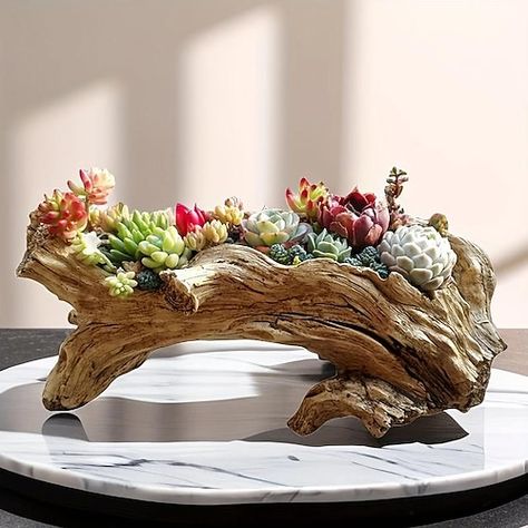 Type:Decorative Objects; Listing Date:09/21/2023 Driftwood Planters, Log Planter, Home Decor Sculptures, Garden Vases, Succulent Garden Diy, Garden Pottery, Porto Rico, Deco Floral, Palau