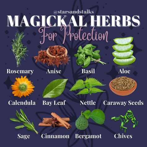 Hedgewitch/Moonchild 🌿 on Instagram: “🌿 P R O T E C T I O N • H E R B S 🌿 Just a list of a few common herbs & spices that work to aid protection. Usually herbs can be…” Protection Herbs, Magical Herbs Witchcraft, Herbs For Protection, Herbs List, Hoodoo Spells, Herb Candles, Magickal Herbs, Witch Herbs, House Smell Good