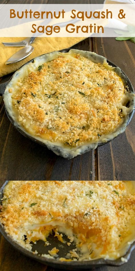 This Butternut Squash and Sage Gratin is a side dish, but could be a meal in itself. Sweet and creamy butternut squash is baked in  a fontina & Parmesan cheese sauce then gets a crunchy panko breadcrumb topping. #gratin #butternutsquash #thanksgiving Scalloped Butternut Squash, Butternut Squash And Sage, Butternut Squash Gratin, Butternut Squash Casserole, Breadcrumb Topping, Parmesan Cheese Sauce, Creamy Butternut Squash, Butternut Squash Recipes, Favorite Comfort Food