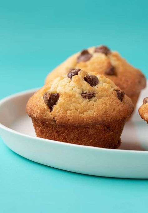 Bakery-style Chocolate Chip Muffins that are soft and fluffy, full of big chunks of chocolate and they have that ALL important crunchy high top. Choco Chip Muffins, Muffins Chocolate, Baking Journal, Chocolate Banana Muffins, High Protein Vegan Recipes, Starbucks Secret, Choco Chips, Perfect Pies, Christmas Food Desserts