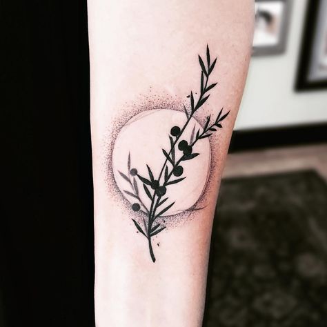 Juniper by Jessie Hopeless (Exile Tattoo) Kansas City. Juniper Tree Tattoo, Tattoo Flower Ideas, Exile Tattoo, Juniper Tattoo, Juniper Wreath, Juniper Branch, Tattoos Feminine, Pagan Tattoo, Juniper Tree