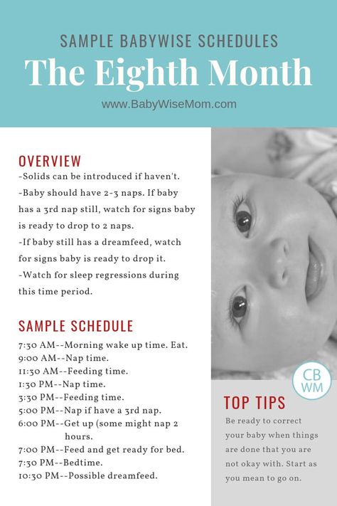 Sample schedules for a 7 month old using the Babywise method. This is the 8th month of life. Baby schedules for 31-34 weeks old. Eight Month Old Schedule, 8 Month Old Baby Schedule, 8 Month Milestones Baby, Baby Wise Schedule, 7 Month Old Schedule, Sleep Schedule For 7 Month Old Baby, Sample 7 Month Old Schedule, Sample 5 Month Old Schedule, Sample Schedule For A 4 Month Old