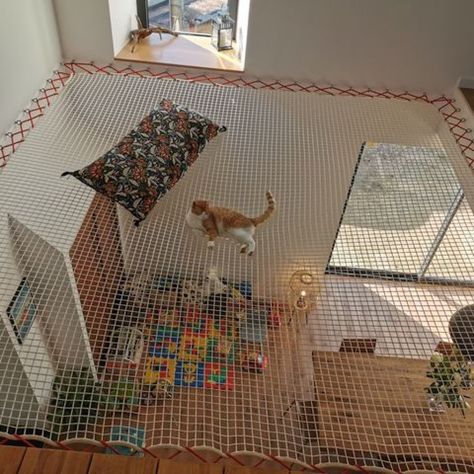 Loft netting. A good alternative to major work in your home? Hammock Loft, Introvert Cat, Hammock Netting, Loft Floor, Kids Room Deco, Cat Wall Furniture, Kitchen Layout Plans, House Floor Design, Cat Hacks