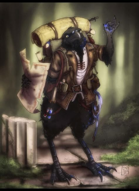 Aarakocra/Kenku D&D Character Dump - Imgur Artificer Aesthetic, Safe Travels, Fantasy Races, Dungeons And Dragons Characters, Dnd Art, Salou, Wow Art, Many Thanks, Fantasy Rpg