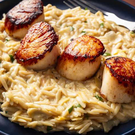 Scallops with Orzo Risotto — Cook's Country Scallops With Orzo, Scallops And Orzo Recipe, Scallops And Orzo, Artichoke Orzo, Scallop Risotto, Scallops Recipes, Seared Sea Scallops, Orzo Risotto, Lobster Dishes