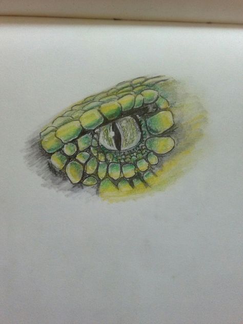 Snakes eye drawing 🐍 Snake Eye Painting, Reptile Eye Drawing, Snake Eye Drawing, Snake Eyes Drawing, Drawing Snake, Eye Step By Step, Painting Snake, Snake Sketch, Reptile Eye