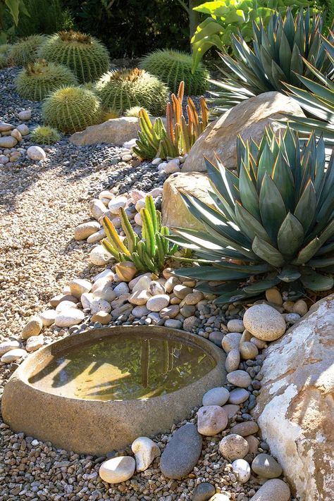 Gravel Landscaping, Drought Tolerant Garden, Drought Tolerant Landscape, Rock Garden Design, Rock Landscaping, Dry Garden, Gravel Garden, Rock Garden Landscaping, Desert Garden