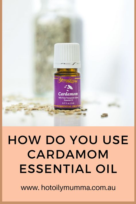 Cardamom Benefits, Cardamom Oil, Grains Of Paradise, Diffuser Blends Young Living, Essential Oil Roller Bottle Recipes, Cardamom Essential Oil, Cardamom Pods, Essential Oils For Colds, Essential Oil Roller Balls