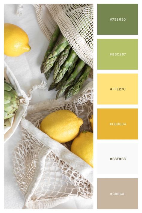 A Spring color palette is perfect for a creative brand that is clear, simple, optimistic, lively, and friendly. The colors of Spring inspire these color palettes, everything from vibrant blooming florals to light linens and pastels. Check out the 15 Spring color palettes to use for your brand and website. Pastel Yellow Color Scheme, Lemon Color Palette Colour Schemes, Farm Color Pallete, Pastel Yellow Color Combination, Spring Decor Color Palette, Spring Color Palette Home Decor, Fresh Food Color Palette, Earthy Spring Color Palette, Sun Rise Color Palette