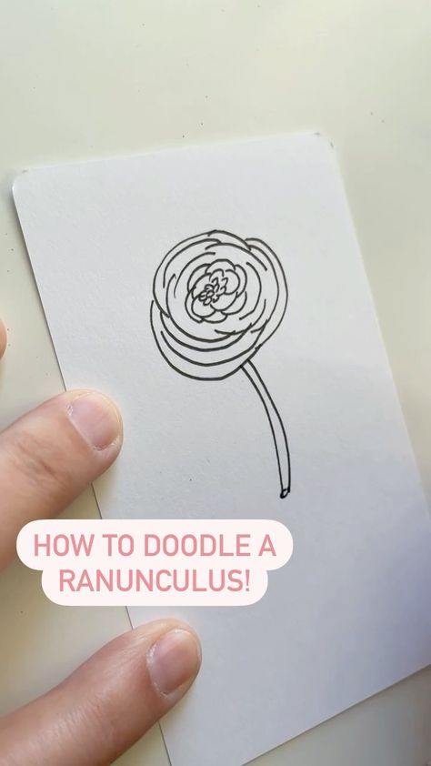 How To Draw A Ranunculus, Ranunculus Drawing Simple, Ranunculus Drawing, Ranunculus Painting, Flower Drawing Tutorials, Instagram Drawing, Different Types Of Flowers, Drawing Tutorials For Kids, Drawing Flowers