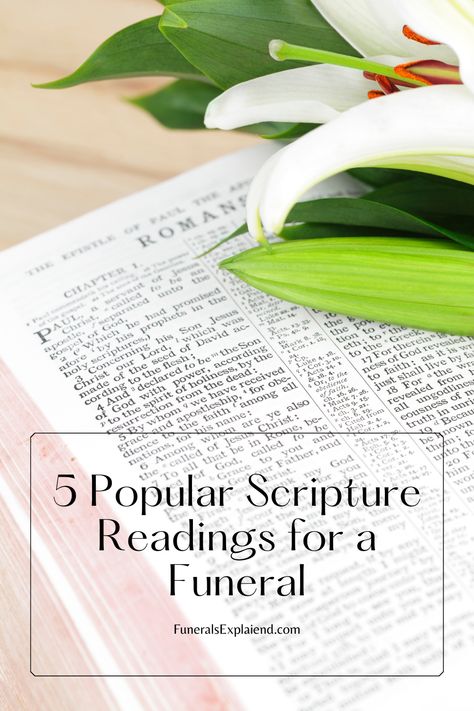 These passages that are typically mentioned are always uplifting and encouraging to hear and give us hope if we fear that we cannot accept what is happening. Here we have created a list of 5 popular scripture readings for a funeral: Scriptures For Funerals, Readings For Funerals, Bible Readings For Funerals, Activities Director, Good Scriptures, Gospel Reading, Mom Poems, Scripture Reading, What Is Happening