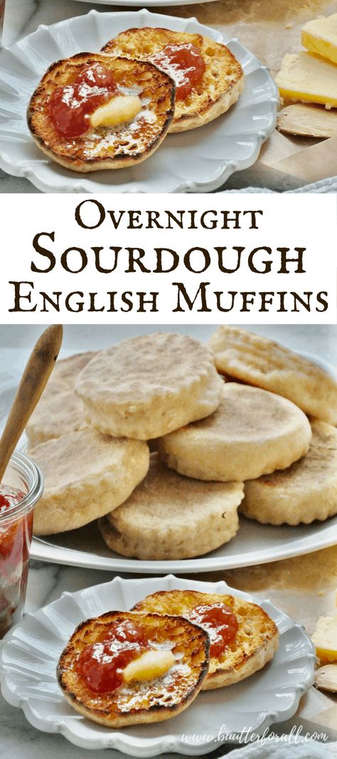 Sourdough Scones Overnight, Overnight Sourdough English Muffins, Easy Sourdough English Muffins, Easy Overnight Sourdough Recipes, Sourdough English Muffin Bread, Sour Dough English Muffins, Overnight Sourdough Discard Recipes, Sourdough Discard English Muffin Recipe, Overnight Sourdough Recipes