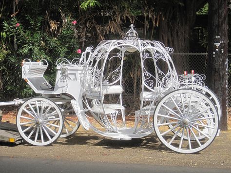 White horse carriage for wedding & park rides, Waikiki by Joel Abroad, via Flickr Horse And Carriage Wedding, Cinderella Quinceanera Themes, Cinderella Quinceanera, Horse Drawn Carriage, Wedding Carriage, Horse Wedding, Princess Carriage, Cinderella Carriage, Wedding Transportation