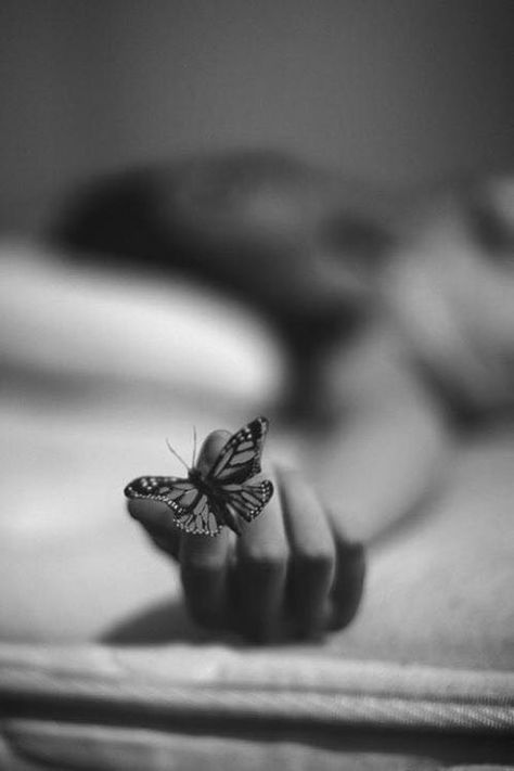 Depth Of Field Photography, Butterfly Kisses, Butterfly Effect, Depth Of Field, Black White Photos, Butterfly Art, White Photo, A Butterfly, Simply Beautiful