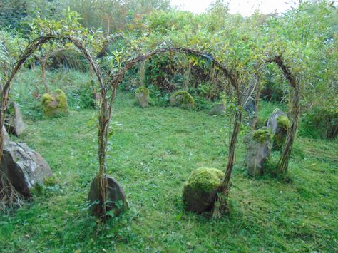 Old Year’s Night…Celtic Samhain Celtic Samhain, Celtic Calendar, Celtic Ireland, Ancient Irish, Witchy Garden, Spiritual Garden, Cottage Journal, Tattoo Plant, Sacred Garden