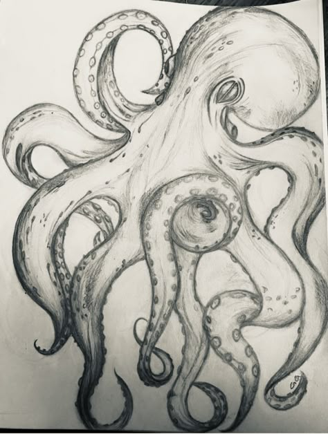 Pencil drawing of an octopus Easy Octopus Drawing, Doodling Ideas, Hard Drawings, Octopus Drawing, Sea Drawing, Shark Drawing, Body Image Art, Gcse Art Sketchbook, Arte Grunge