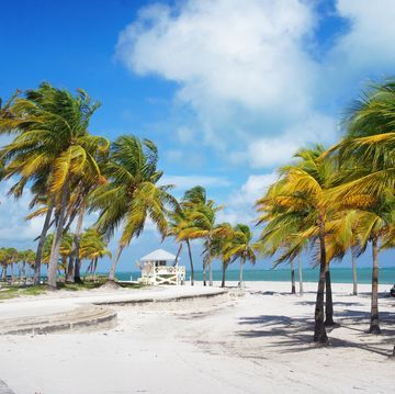 Crandon park Beach of Key Biscayne, Miami Best Pumpkin Decorating Ideas, Crandon Park, Pumpkin Decorating Ideas, Honeymoon On A Budget, Water Bungalow, Dream Honeymoon, Sandals Resorts, Key Biscayne, Burning Questions