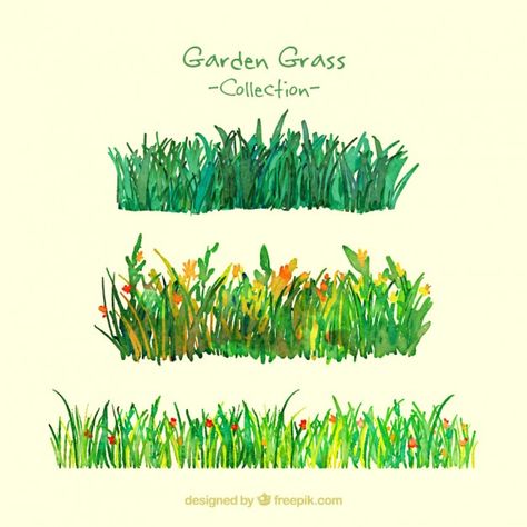 Watercolor garden grass pack Free Vector Garden Drawing Ideas, Grass Watercolor, Grass Drawing, Grass Art, Garden Grass, Grass Painting, Grasses Garden, Oil Pastel Art, Oil Pastel Drawings