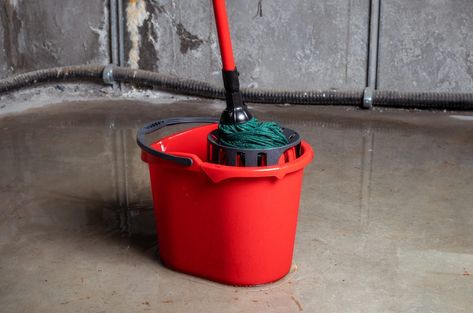 Cleaning Cement Floors, Clean Concrete Floor, How To Clean A Basement, How To Clean Concrete Floors, How To Clean Cement Floors, How To Clean Cement Floors Basements, How To Clean Concrete Floors Inside, Diy Concrete Floors Indoor Basement, Best Flooring For Basement Concrete