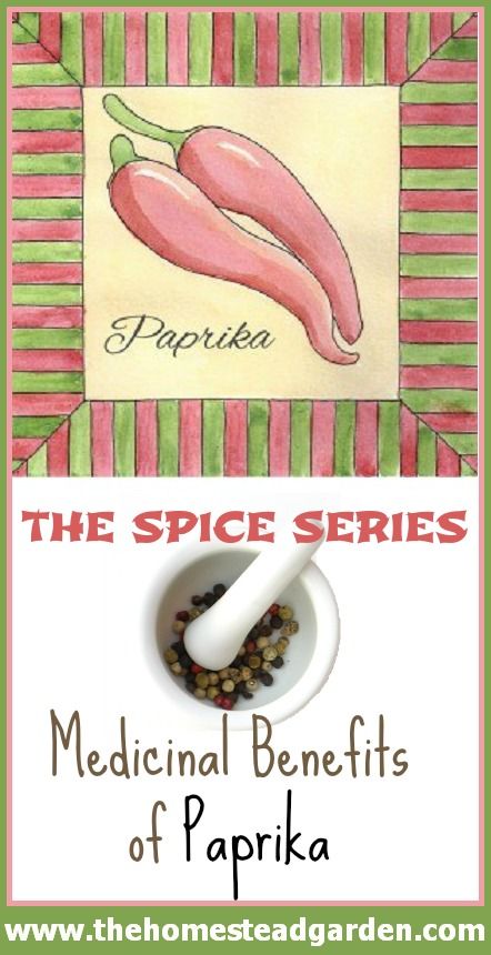 The many medicinal benefits of paprika Healthy Spices, Medical Herbs, Homemade Remedies, Natural Remedy, Wound Healing, Healing Herbs, Medicinal Herbs, Homeopathy, Health Info