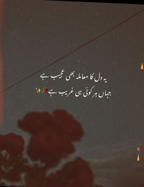 Gareeb Quotes, Birds In The Sky, Poetry Lines, Hair Braid Videos, Heart Touching Shayari, Mixed Feelings Quotes, Poetry Images, Best Urdu Poetry Images, Mixed Feelings