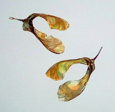 Sycamore Leaves, Sycamore Seed, Sycamore Leaf, Seed Art, Art Journal, Seeds, Art Painting, Sketch, Quick Saves