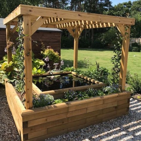 Colin-pond Pond Pergola, Homemade Frames, Raised Pond, Pond Kits, Garden Retaining Wall, Building A Pond, Planter Bench, Balcony Planters, Creeping Jenny