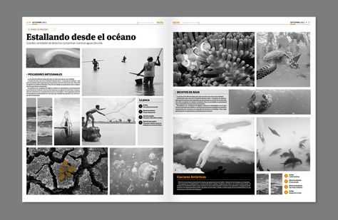 Essay Layout, Nursing Essay, Magazine Design Cover, Newspaper Photo, Newsletter Layout, Photography Brochure, Newspaper Layout, Photo Documentary, Editorial Layouts