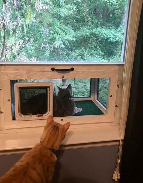 Cat Door For Window, Cat House Outdoor, Cat Window Perch, Cat Patio, Window Perch, Outdoor Cat Enclosure, Outdoor Cat House, House Outdoor, Cat Perch