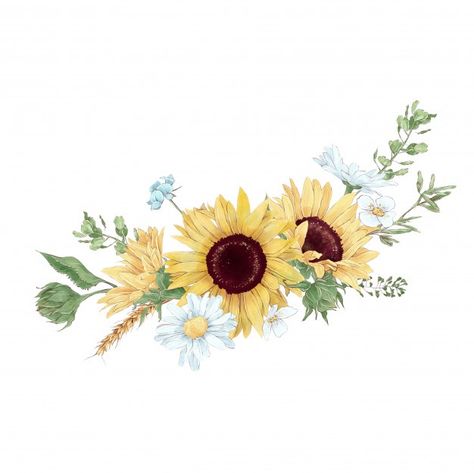 Sunflowers And Wildflowers, Blooming Sunflower, Sunflowers Background, Floral Cards Design, Autumn Illustration, Sunflower Bouquets, Sunflower Wallpaper, Fall Watercolor, Watercolor Images