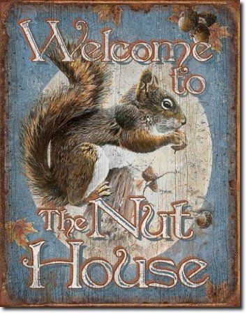 Welcome To The Nut House, Nut House, A Squirrel, Squirrels, A Sign, Posters Prints, Custom Framing, Tin, Signs