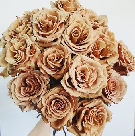 "Toffee" Roses Are So Popular, Some Florists Can Barely Keep Them in Stock Simple Rose, Brown Flowers, Buy Plants, Cherry Blossom Tree, Wholesale Flowers, Fragrant Flowers, Blossom Trees, Beautiful Bouquet, Flower Delivery