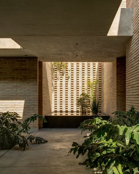 Casa Mika, una residencia que busca generar experiencias distintas 🍃 Arquitectura: ASP Arquitectura Sergio Portillo. @asp_mx Construcción: Diseño Lineal. Ubicación: Naucalpan, Estado de México. Área construida: 465 m2. Fotografía: César Béjar / Rafael Gamo @cesarbejarstudio @rafaelgamo #Cesasmexico #Casasyucatan #arquitecturamexicana #diseñomexicano #Arquitectura #diseñoexclusivo #ambientesdemexico Building Elevation, Little Italy, May 20, Architecture Building, Mood Board, Farmhouse, Patio, Exterior, Architecture